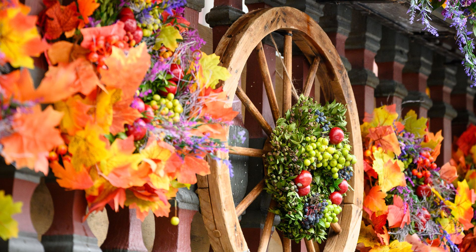 Martinimarkt_23_BY_EVA_SUTTER_072 Martinimarkt_23_BY_EVA_SUTTER_072