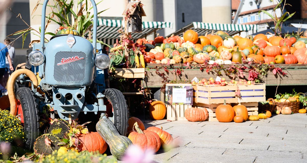 Herbstmarkt_21_BY_MATTHIAS_RHOMBERG_012 Herbstmarkt_21_BY_MATTHIAS_RHOMBERG_012