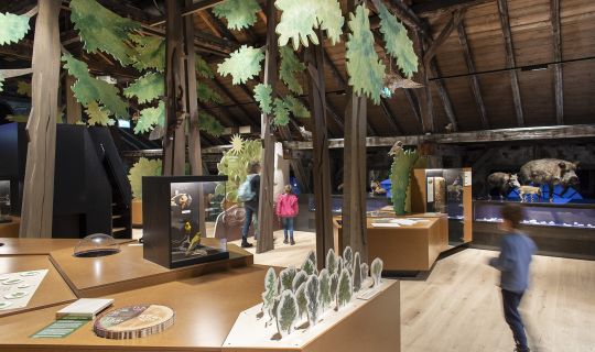 inatura Wies&Wald inatura Wies&Wald