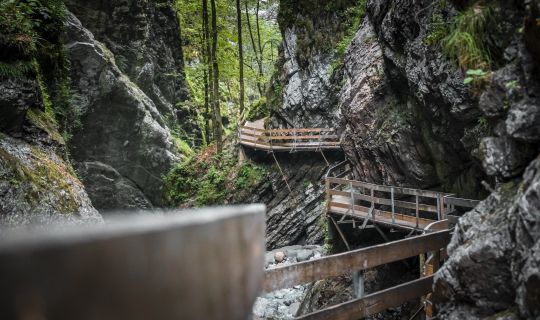 Rappenlochschlucht Rappenlochschlucht