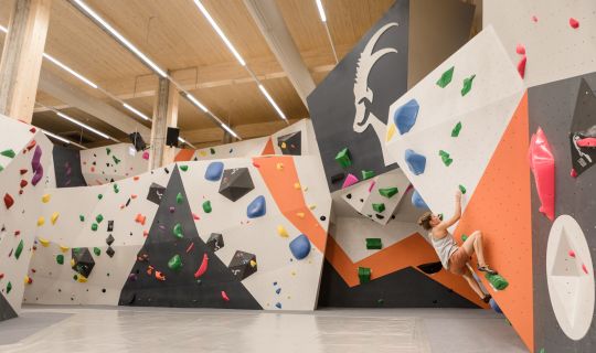 SteinblockDornbirnBouldernBoulderhalleVorarlberg-5271 Steinblock Boulderhalle SteinblockDornbirnBouldernBoulderhalleVorarlberg-5271 Steinblock Boulderhalle