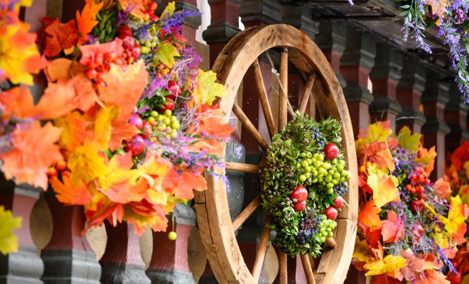 Martinimarkt_23_BY_EVA_SUTTER_072 Martinimarkt_23_BY_EVA_SUTTER_072