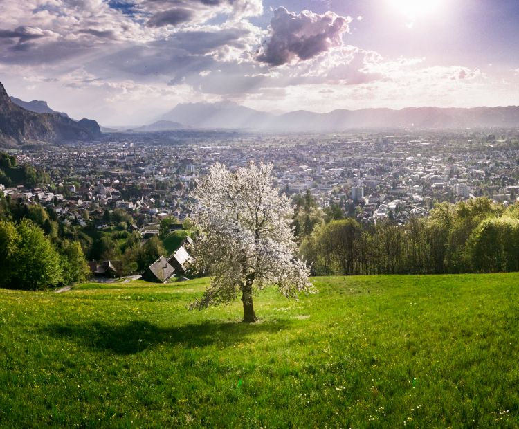 Dornbirn Umgebung (c) Studio Fasching - Dornbirn Tourismus _ Stadtmarketing GmbH (1) Dornbirn Umgebung (c) Studio Fasching - Dornbirn Tourismus _ Stadtmarketing GmbH (1)