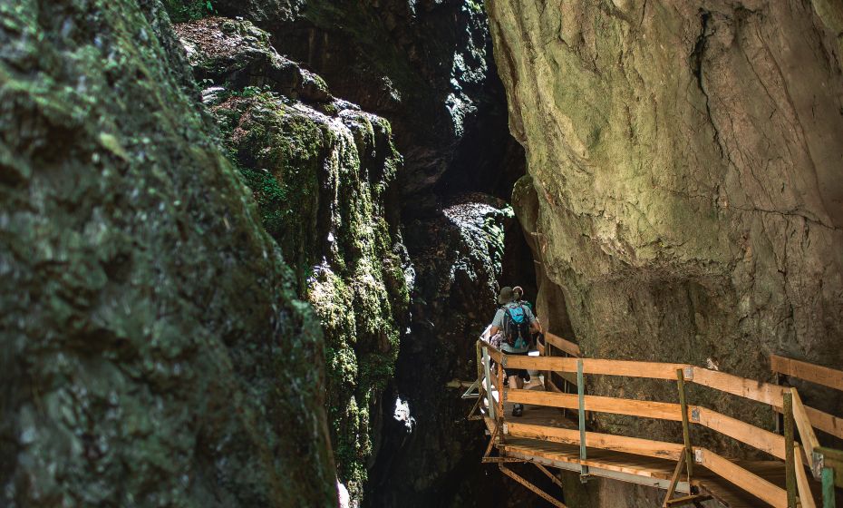 Rappenlochschlucht Rappenlochschlucht