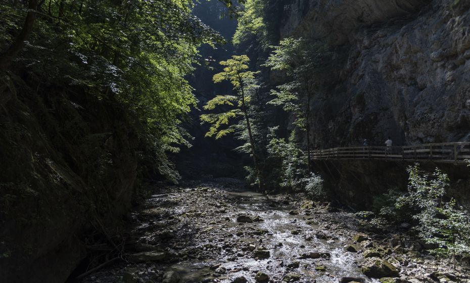 Rappenlochschlucht Rappenlochschlucht