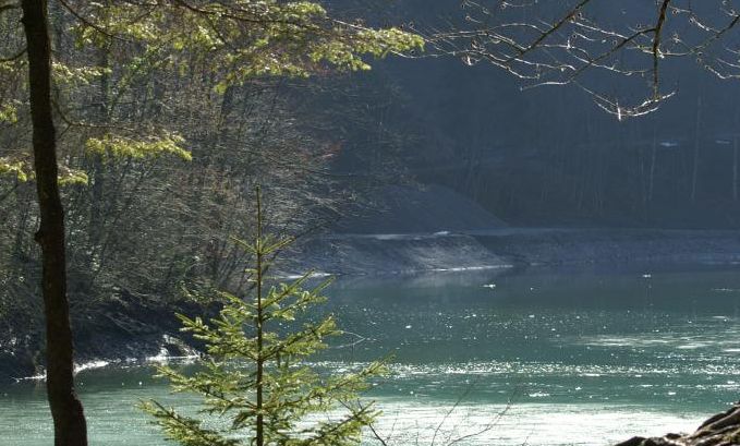 Friedrich Böhringer Staufensee in Dornbirn