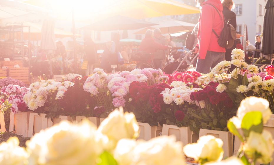 Wochenmarkt (c) Studio Fasching - Dornbirn Tourismus _ Stadtmarketing GmbH (5) Wochenmarkt (c) Studio Fasching - Dornbirn Tourismus _ Stadtmarketing GmbH (5)